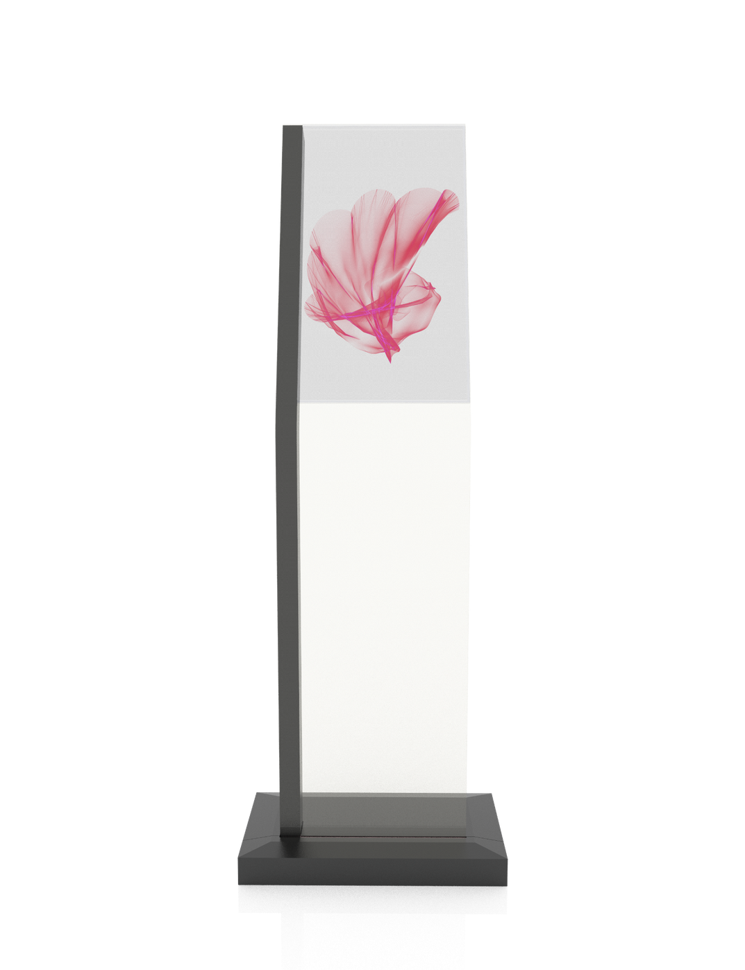 EKAA 30inch T-OLED  Touch Kiosk